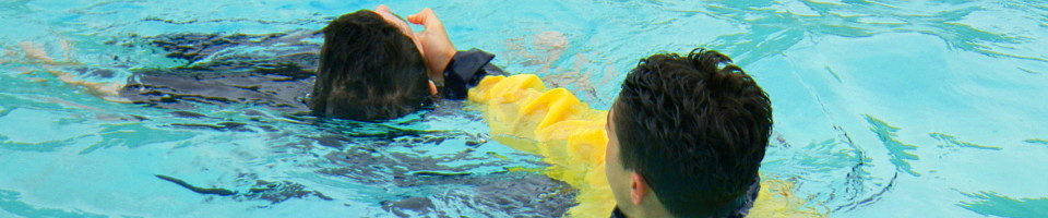 Page banner image